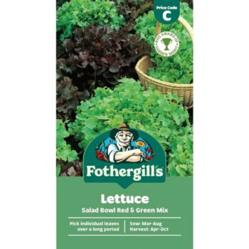 Mr Fothergills Lettuce Salad Bowl Red & Green Mixed
