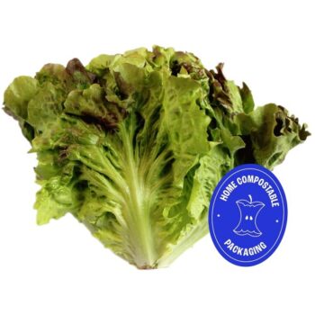 Wholegood Organic British Batavia Lettuce